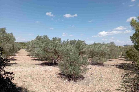 Landejendom i Yecla, Murcia, Yecla - € 49.995 | Ref: SF0390 - foto 18